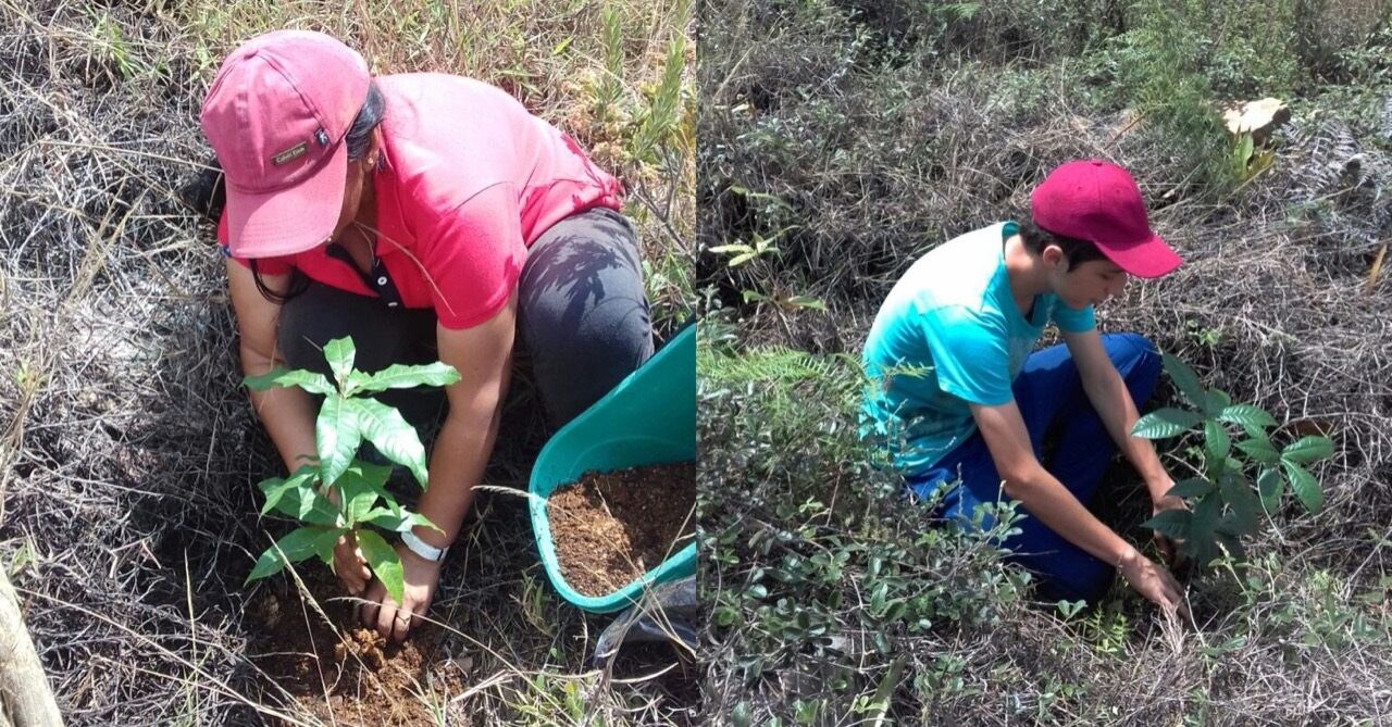 Las hermanas Robles que reforestan Villa de Leyva con el árbol de su apellido.