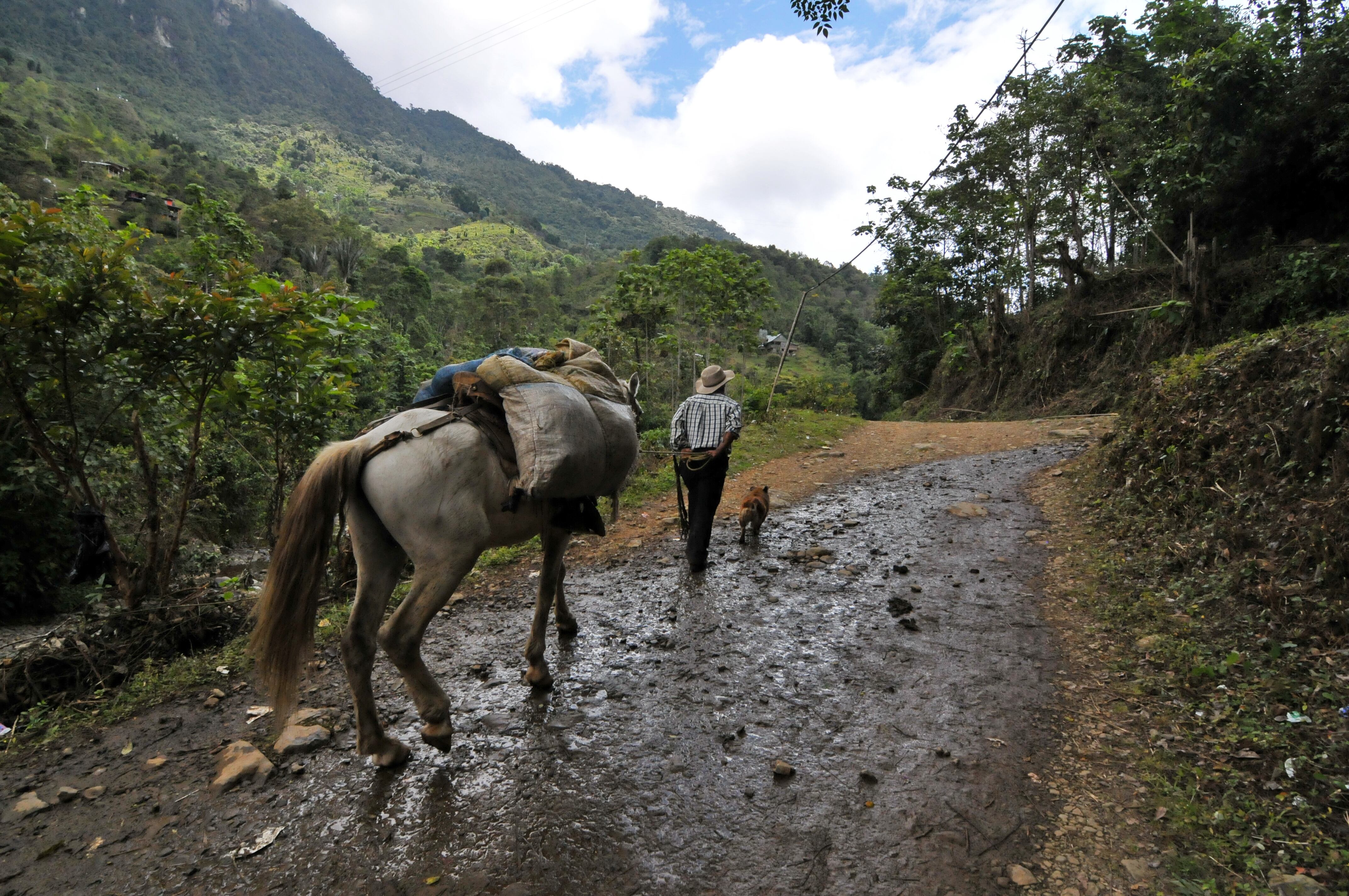 Vías terciarias del departamento del Valle del Cauca. En la fotos vías de Peñas Blancas y Barragán.