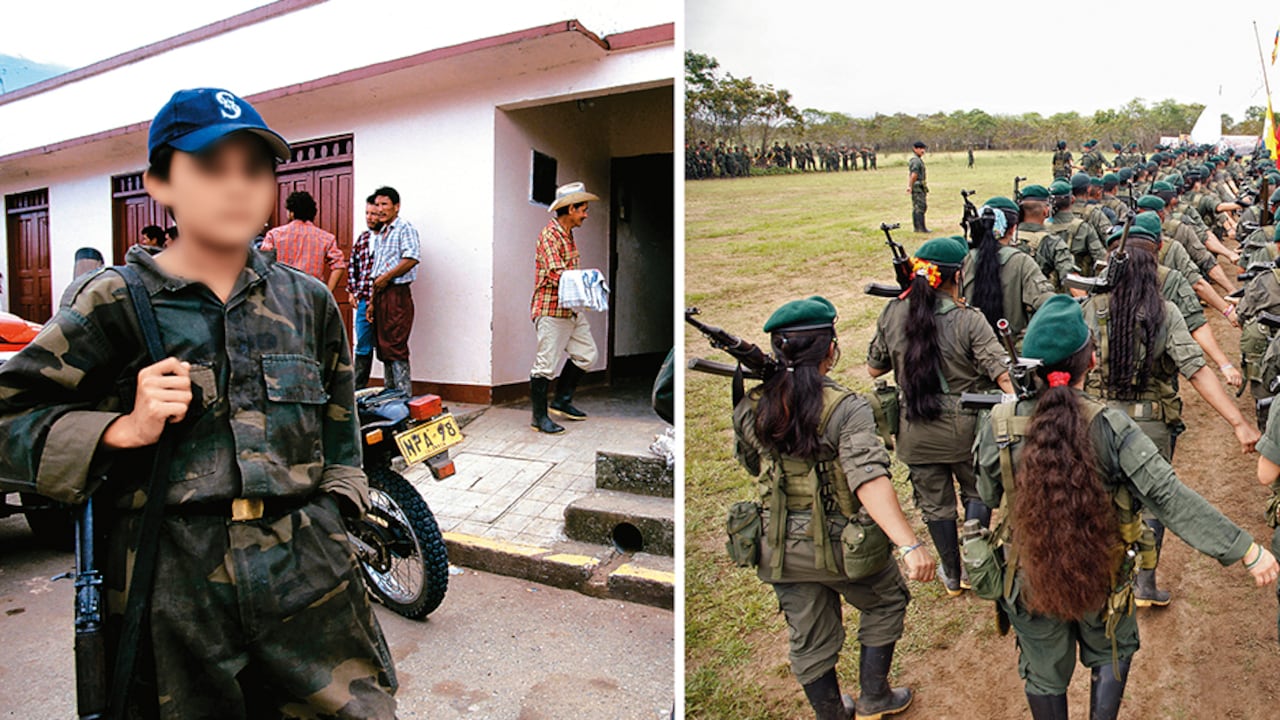 Uno de los factores que incrementa el reclutamiento de menores en Norte de Santander son las plantaciones de coca. Este lugar es un corredor estratégico para los grupos armados ilegales.