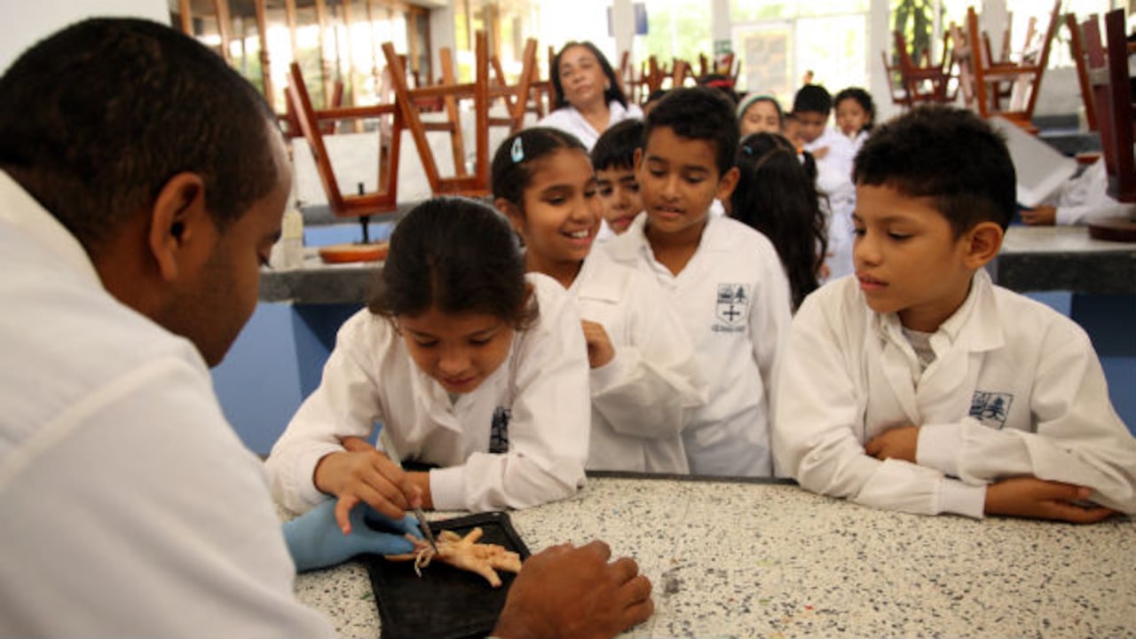 Un niño colombiano estudia en promedio 7.3 años, mientras que lo esperado son 13.6.