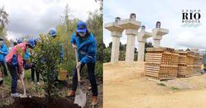 Siembra de árboles en humedal Juan Amarillo de Bogotá. Octubre de 2020.