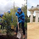 Siembra de árboles en humedal Juan Amarillo de Bogotá. Octubre de 2020.