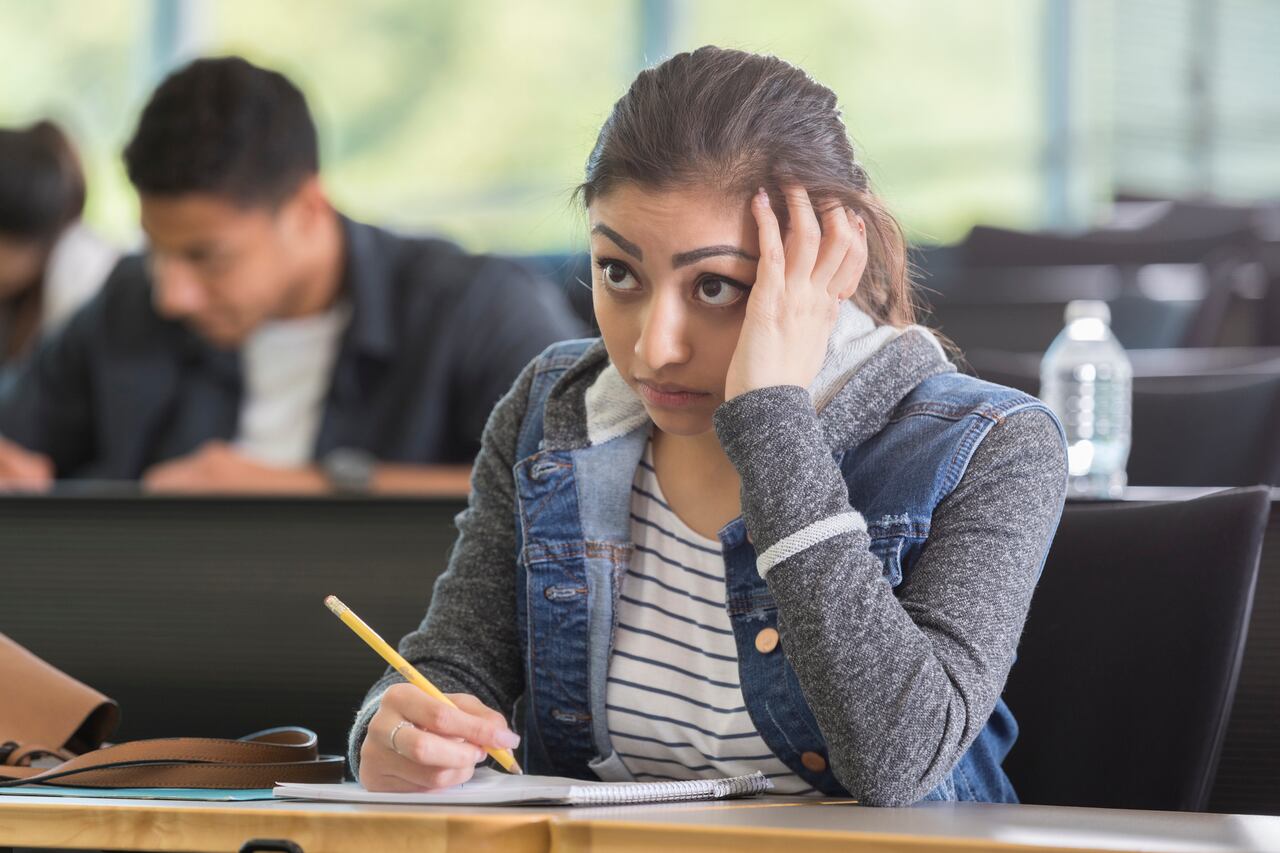 Las asignaturas de derecho comparado, derecho constitucional y derecho internacional son solo algunos ejemplos de áreas.