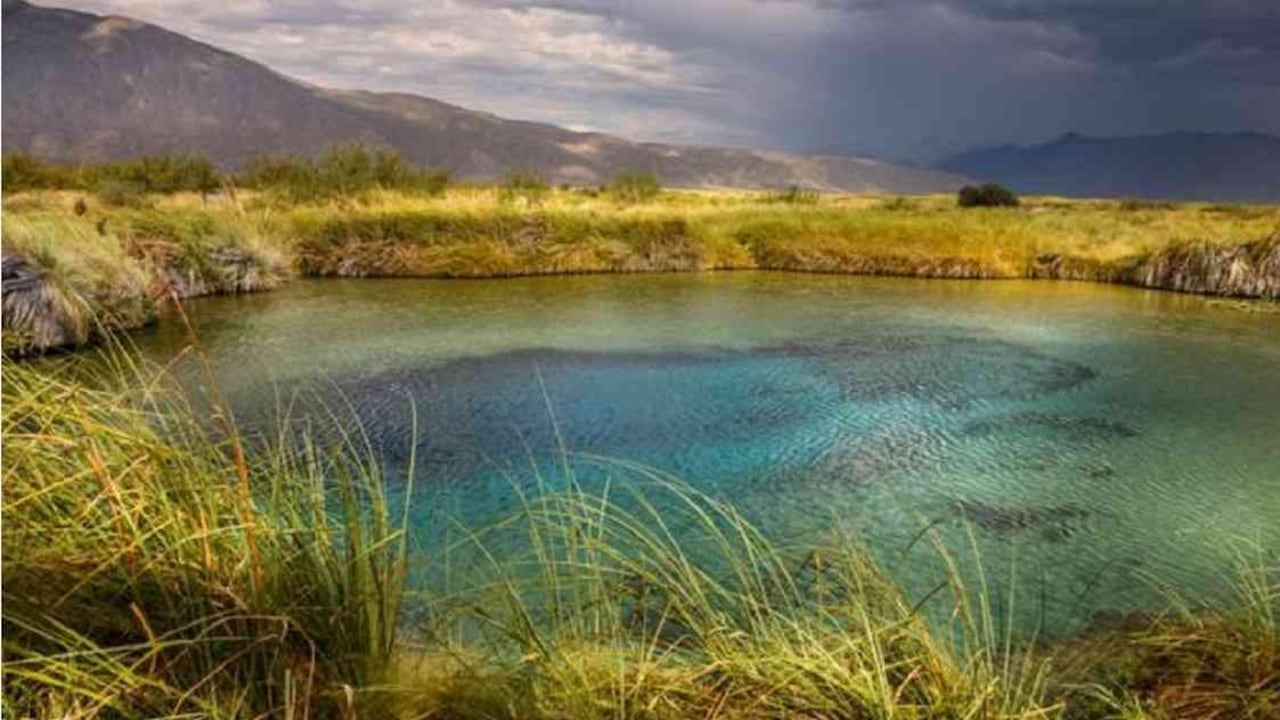 Cuatro Ciénegas es un lugar único en el mundo. Foto: Getty Images
