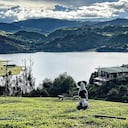 4 Patas, Destinos Pet Friendly