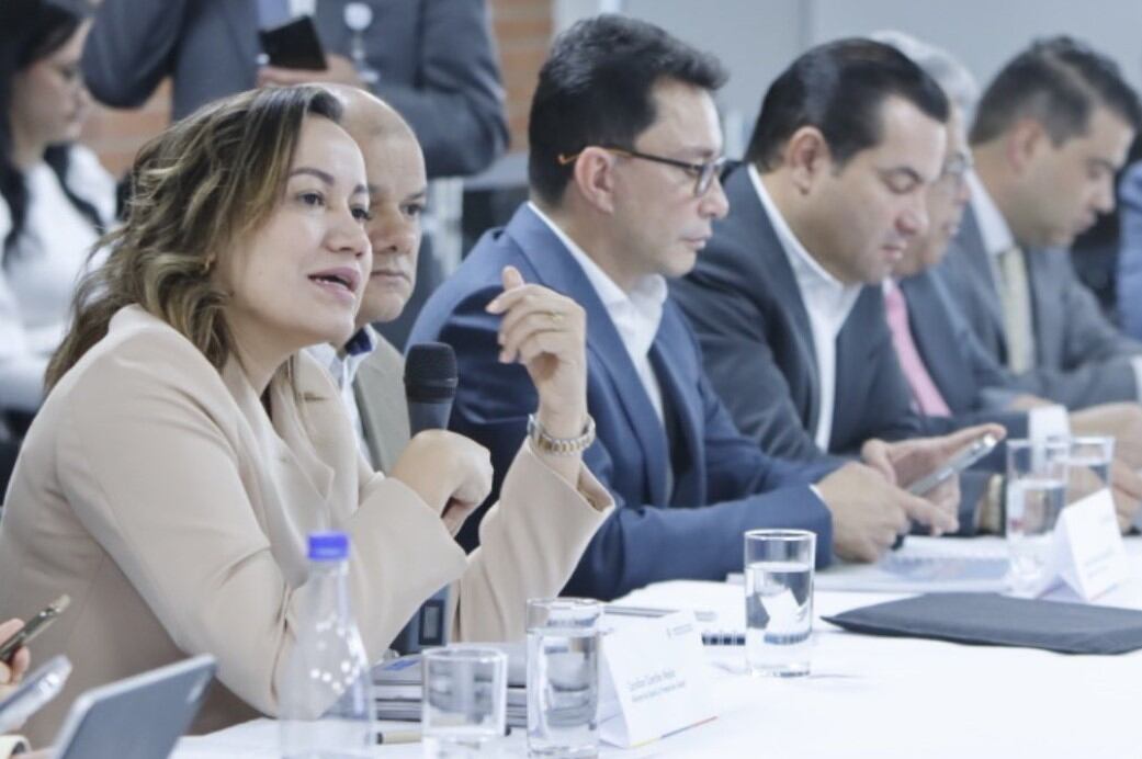 La ministra de Salud y Protección Social, Carolina Corcho, en reunión con la Federación Nacional de Departamentos.