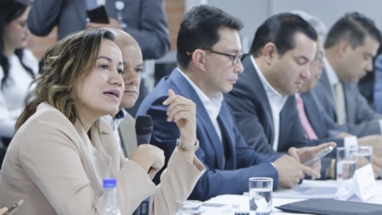 La ministra de Salud y Protección Social, Carolina Corcho, en reunión con la Federación Nacional de Departamentos.