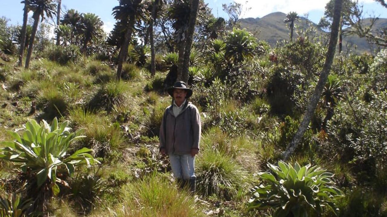 A lo largo de los 17 municipios en los que se encuentra el Almorzadero, se distinguen 117 lagunas y una amplia biodiversidad de flora y fauna.