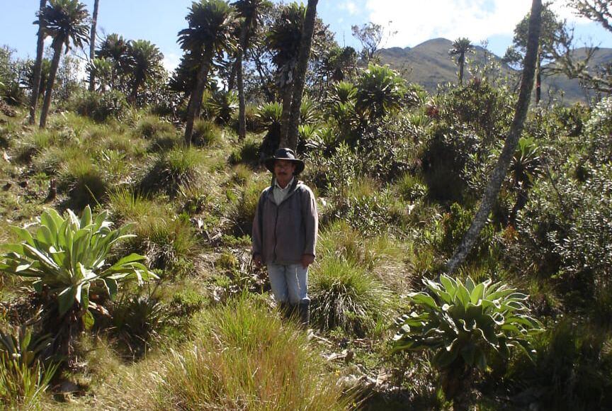 A lo largo de los 17 municipios en los que se encuentra el Almorzadero, se distinguen 117 lagunas y una amplia biodiversidad de flora y fauna.