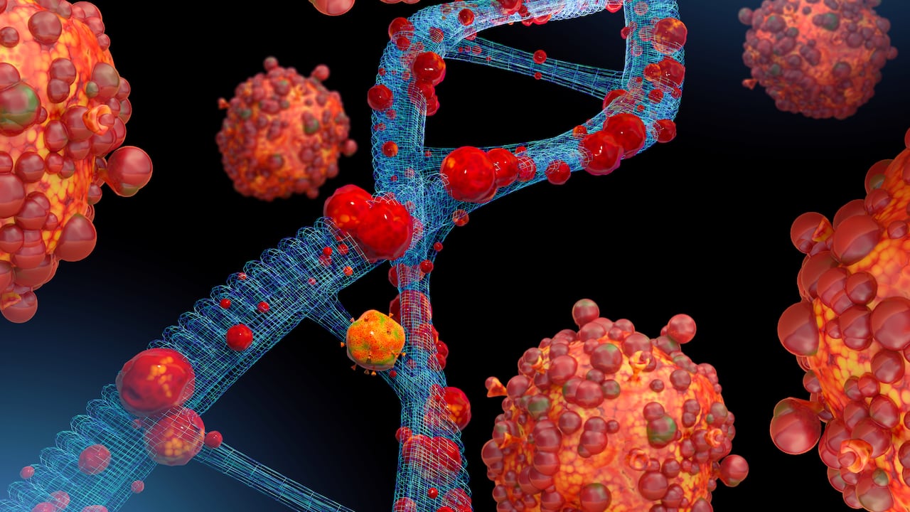 Hasta la fecha, siete países fuera de África han detectado el clado Ib.