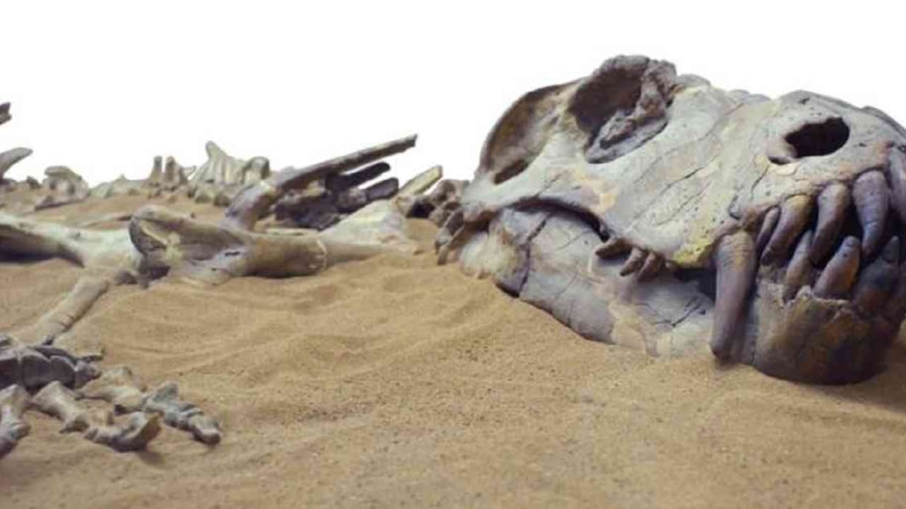 Los dinosaurios murieron hace cerca de 66 millones de años. Foto: Getty Images