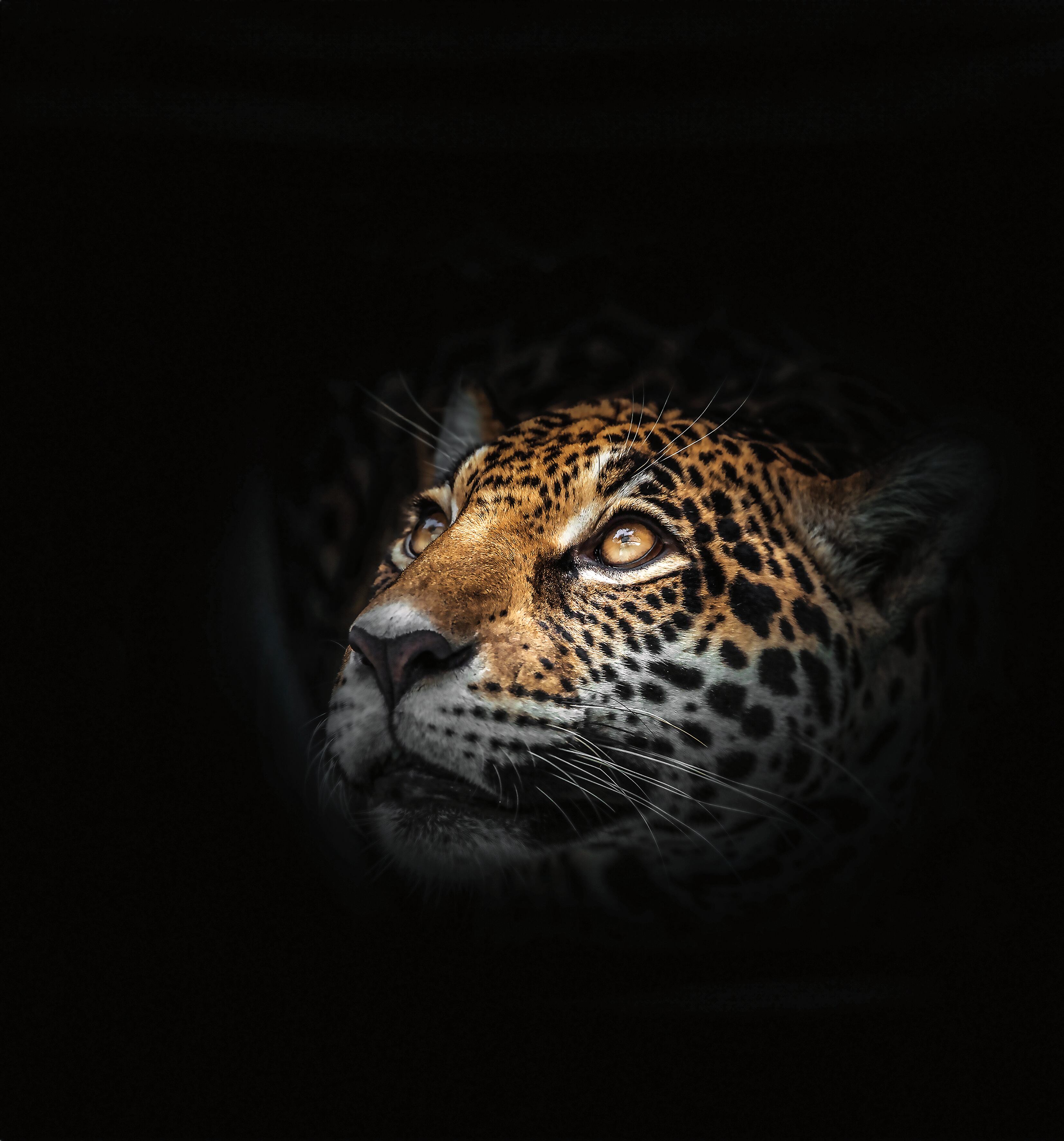 Las decisiones en Cali podrían guiar al país hacia un desarrollo sostenible, asegurando agua limpia, alimentos y preservando el patrimonio natural para futuras generaciones.