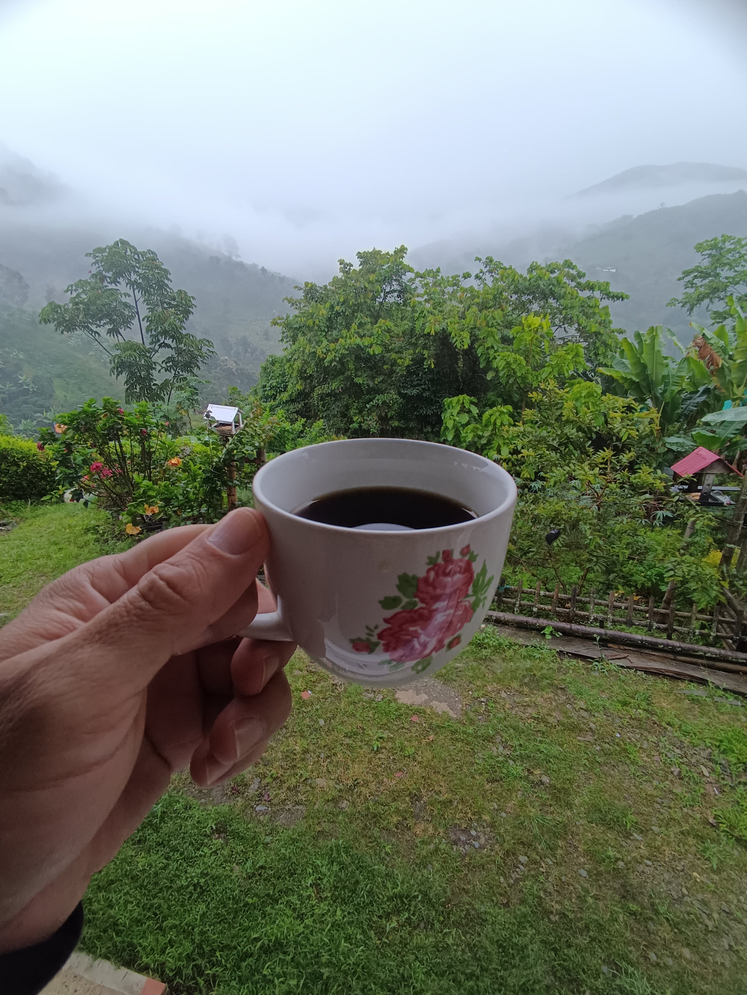 Eje Cafetero