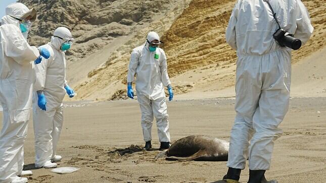 Ministerio de Ambiente Perú