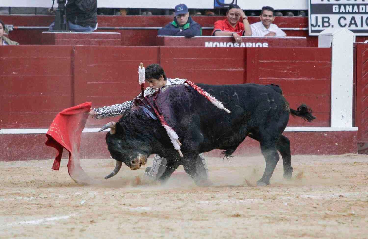 Foto: Diana Rey Melo