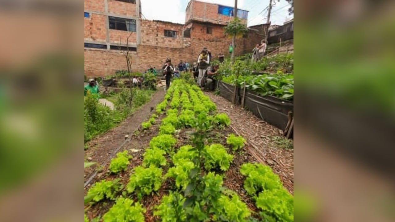 Esta Ruta se suma a los circuitos de Suba y Centro (Santa Fe y La Candelaria), inaugurados en septiembre de 2021 y marzo de 2022, respectivamente.
