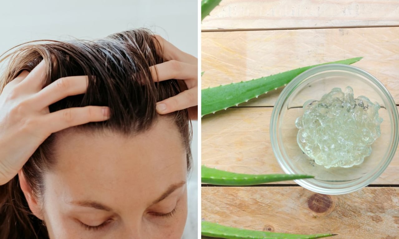 Así se puede engrosar el cabello con sábila.