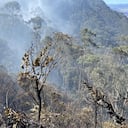 Incendio forestal en los cerros orientales en Bogotá