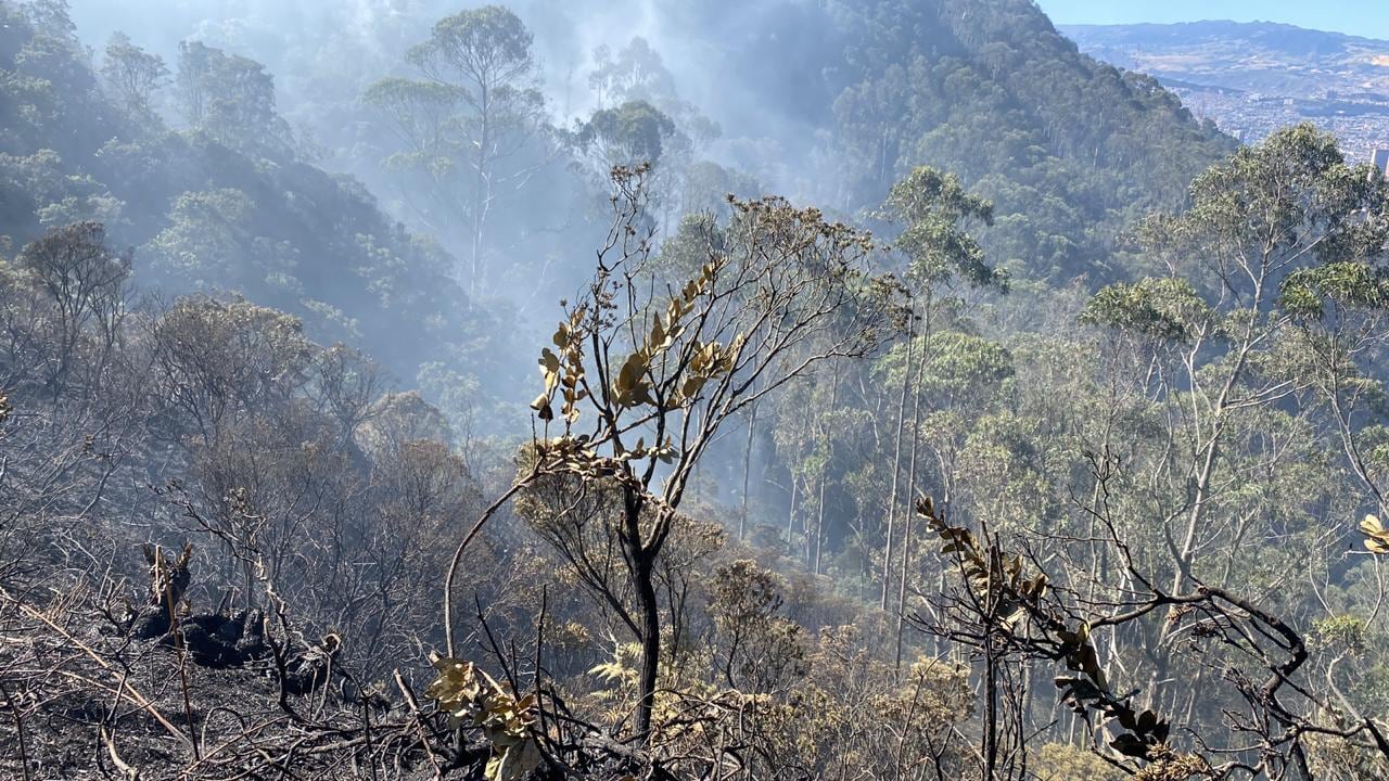 Incendio forestal en los cerros orientales de Bogotá.