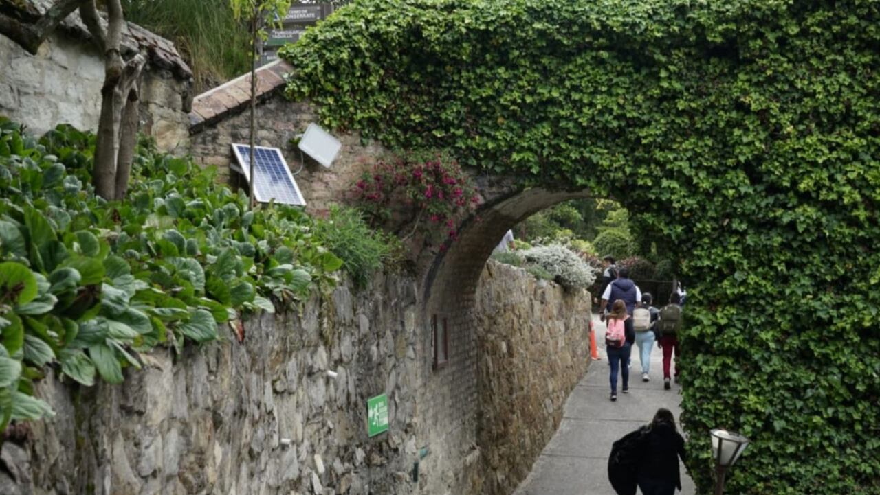 Las experiencias que ofrece Bogotá como destino verde; la ciudad cuenta con 14 senderos y 17 humedales