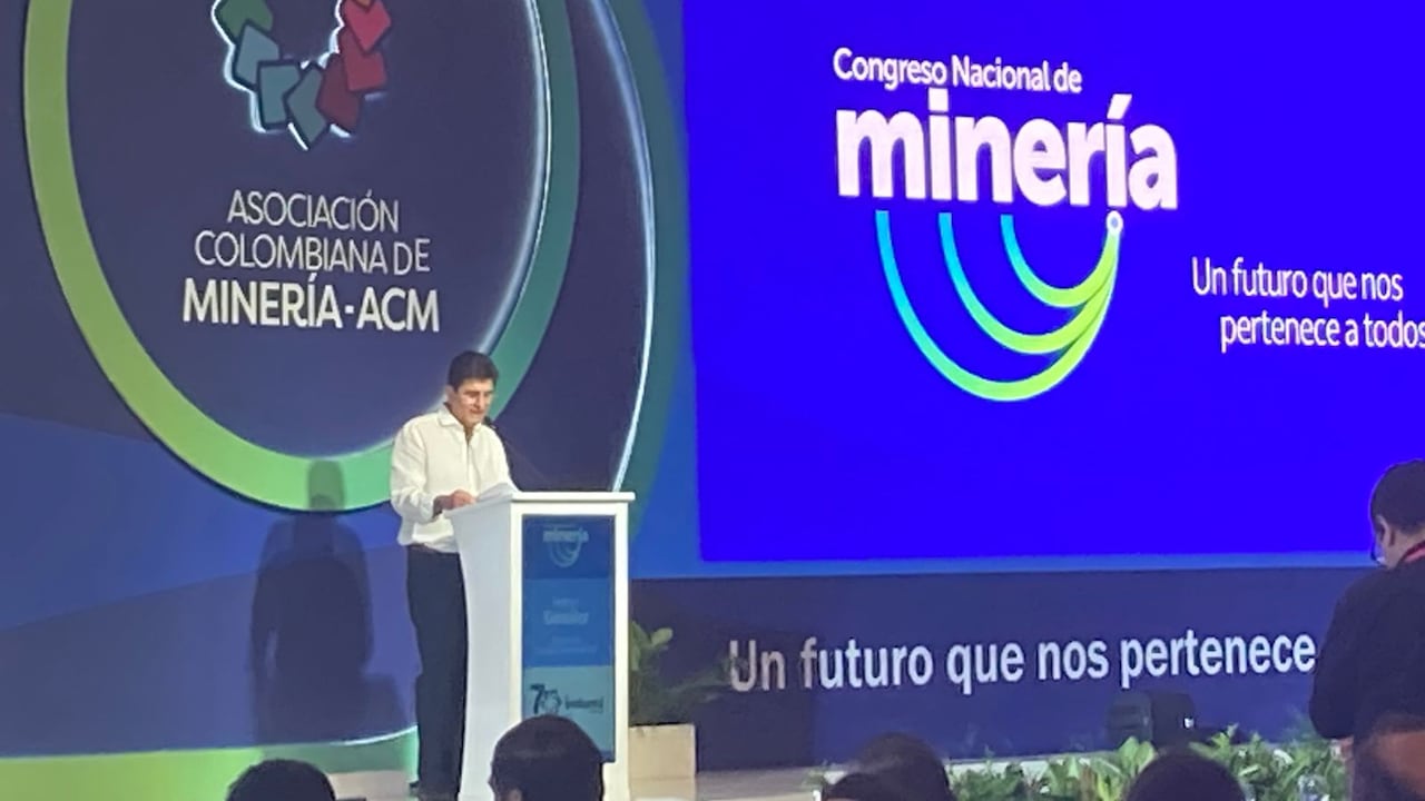 Hamyr González, presidente del Consejo directivo de la ACM, que reúne a las empresas de la gran minería colombiana