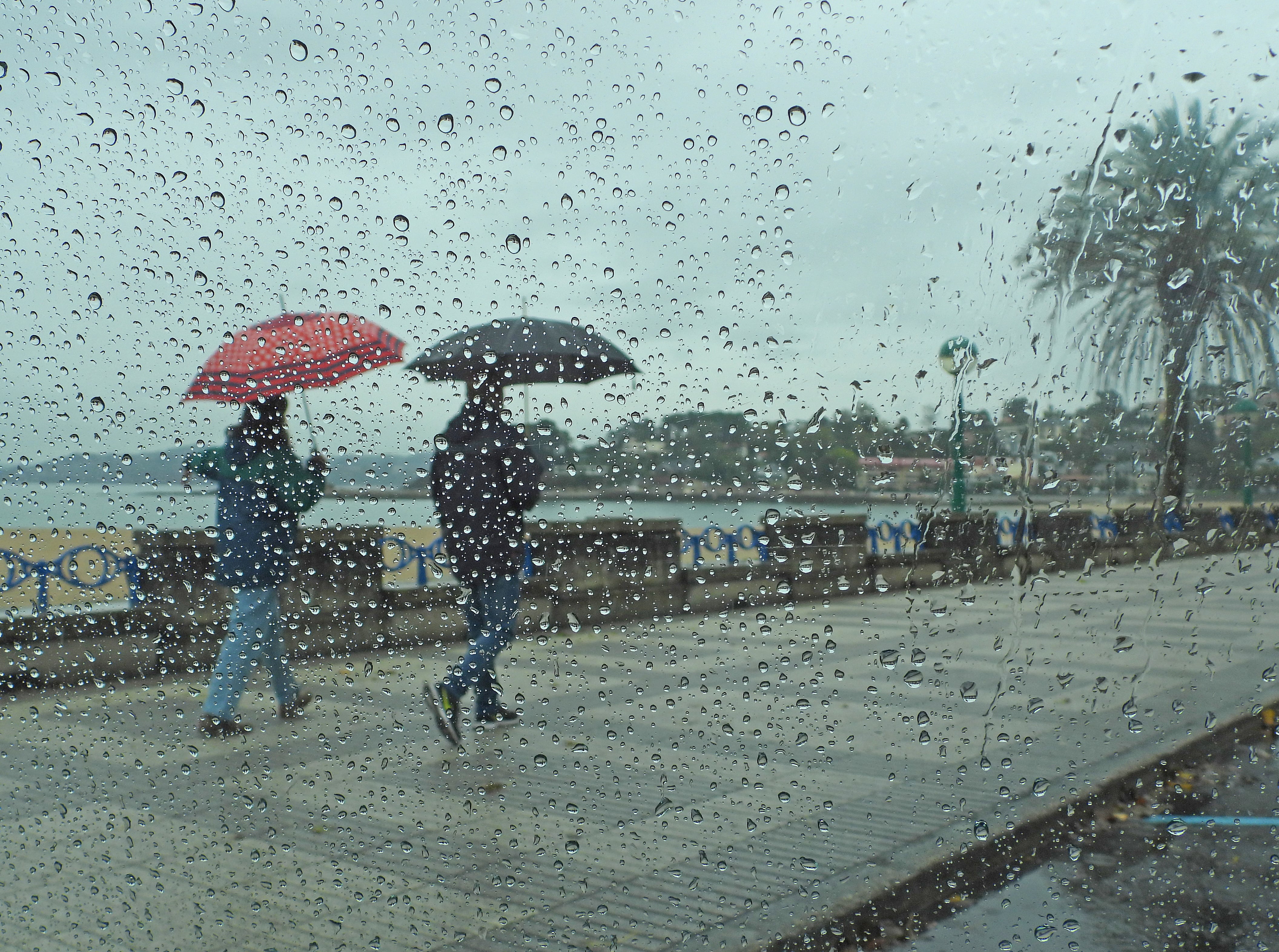 Las principales ciudades de la región Caribe registran cielo entre parcial y mayormente nublado, con presencia de lloviznas y lluvias intermitentes en sectores como Barranquilla y Cartagena, mientras persisten condiciones cálidas y húmedas durante el día.