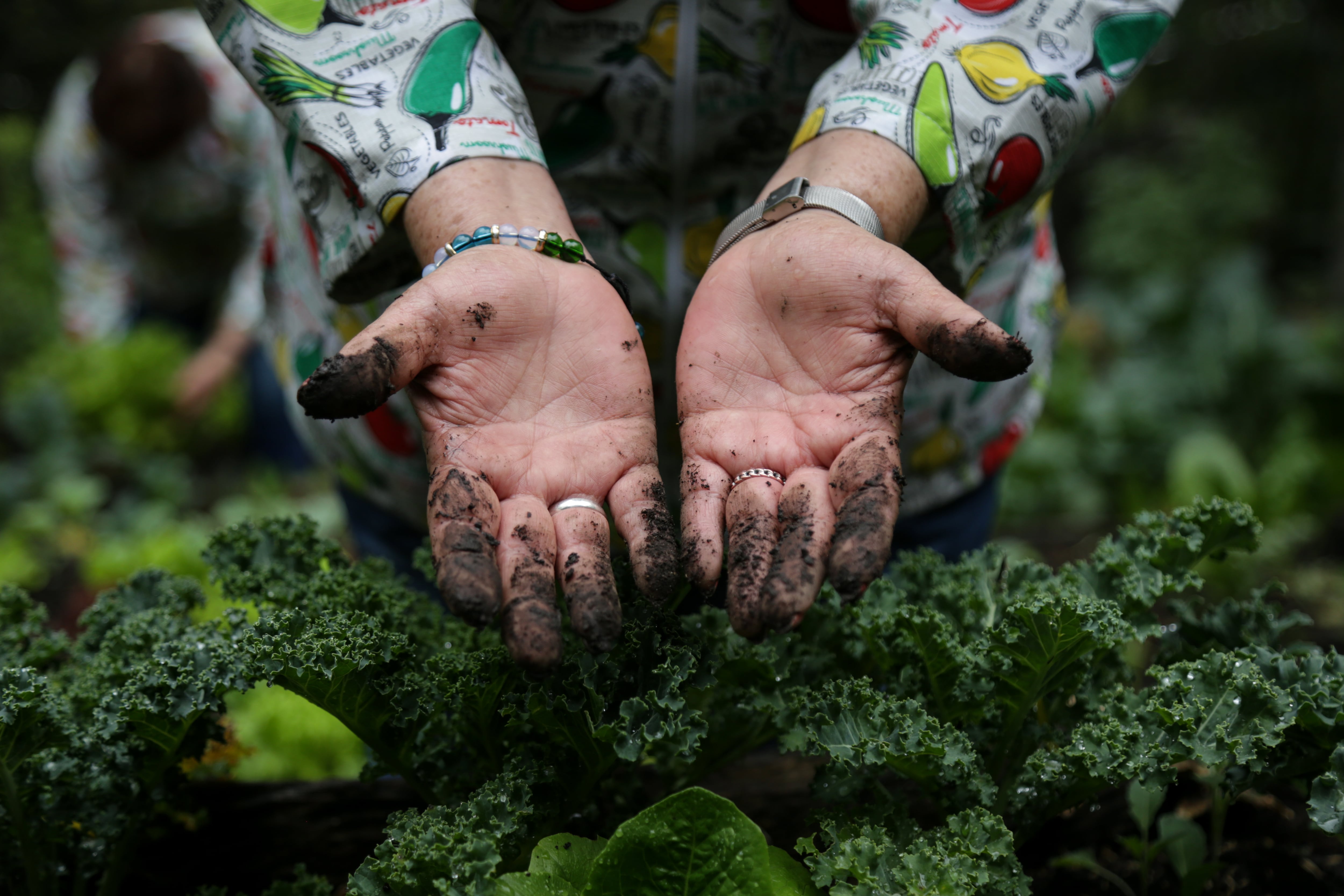 Con mucho esfuerzo y dedicación estas mujeres estudiaron durante un año de teoría agropecuaria, manejo y transformación de alimentos.