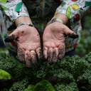Con mucho esfuerzo y dedicación estas mujeres estudiaron durante un año de teoría agropecuaria, manejo y transformación de alimentos.