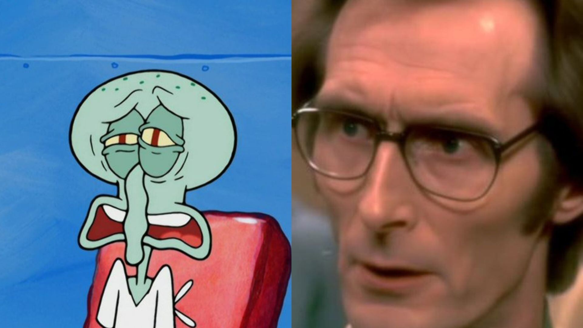 Calamardo e inteligencia artificial.