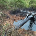 Las Farc atentó el 16 de junio contra el oleoducto Caño Limón-Coveñas, lo que afectó el río Catatumbo.