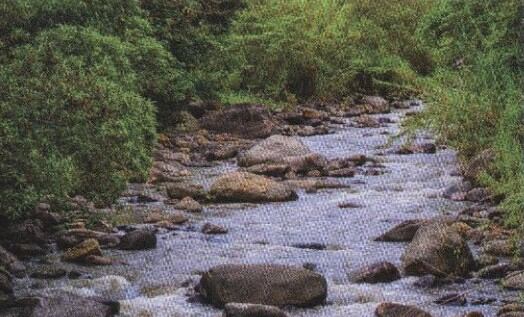 Municipio de Tenza, Boyacá