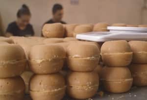 Producción panelera en el municipio de Cisneros, Antioquia