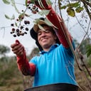 La inversión de la compañía en programas de sostenibilidad creció 18 por ciento con respecto a 2021.