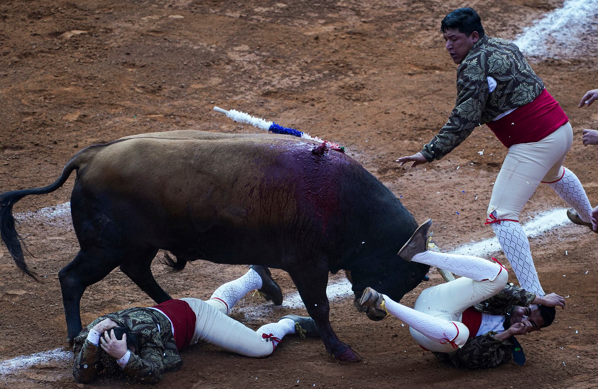 Fotos de la semana 25 feb