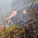 Los incendios forestales se han registrado en sectores del área rural de Popayán como Cajete, Julumito, El Hogar, Pisojé, entre otros. Foto: Bomberos Popayán.
