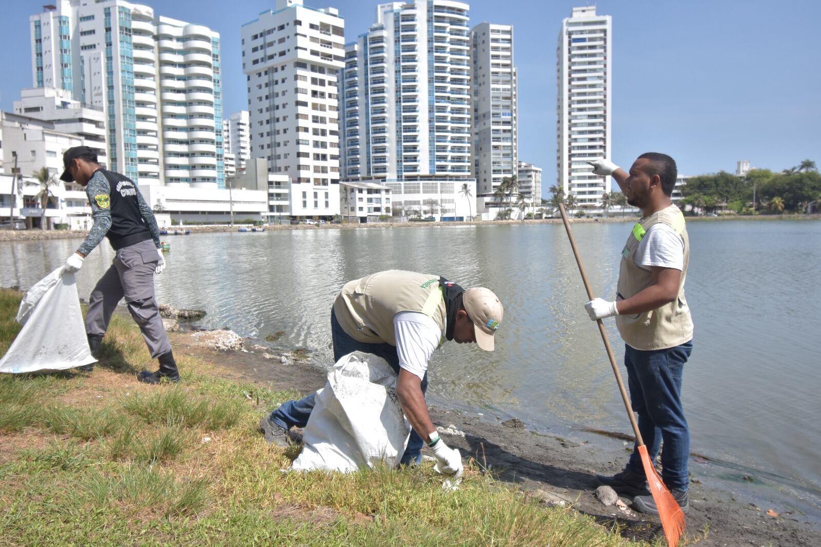 Recolección de peces muertos en El Laguito Cartagena