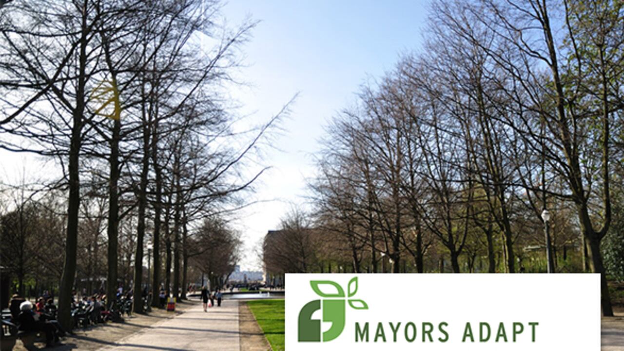 La Comisaria Europea de Acción por el Clima, Connie Hedegaard, puso en marcha el proyecto 'Mayors Adapt' en marzo del 2013 y se ratificará este jueves.