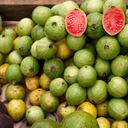 La guayaba es una fruta que se da durante todo el año.
