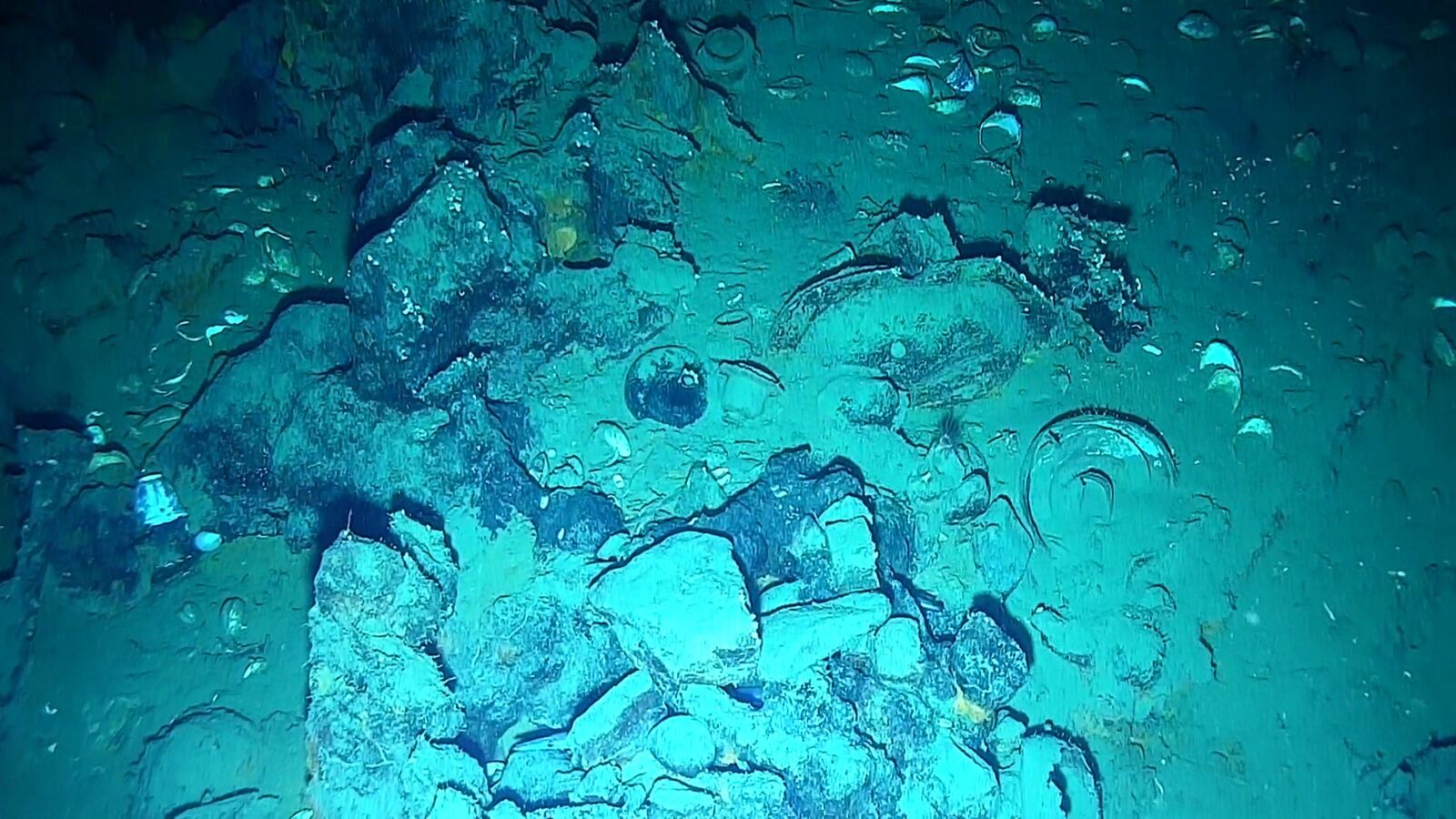 Objetos recuperados del galeón San José