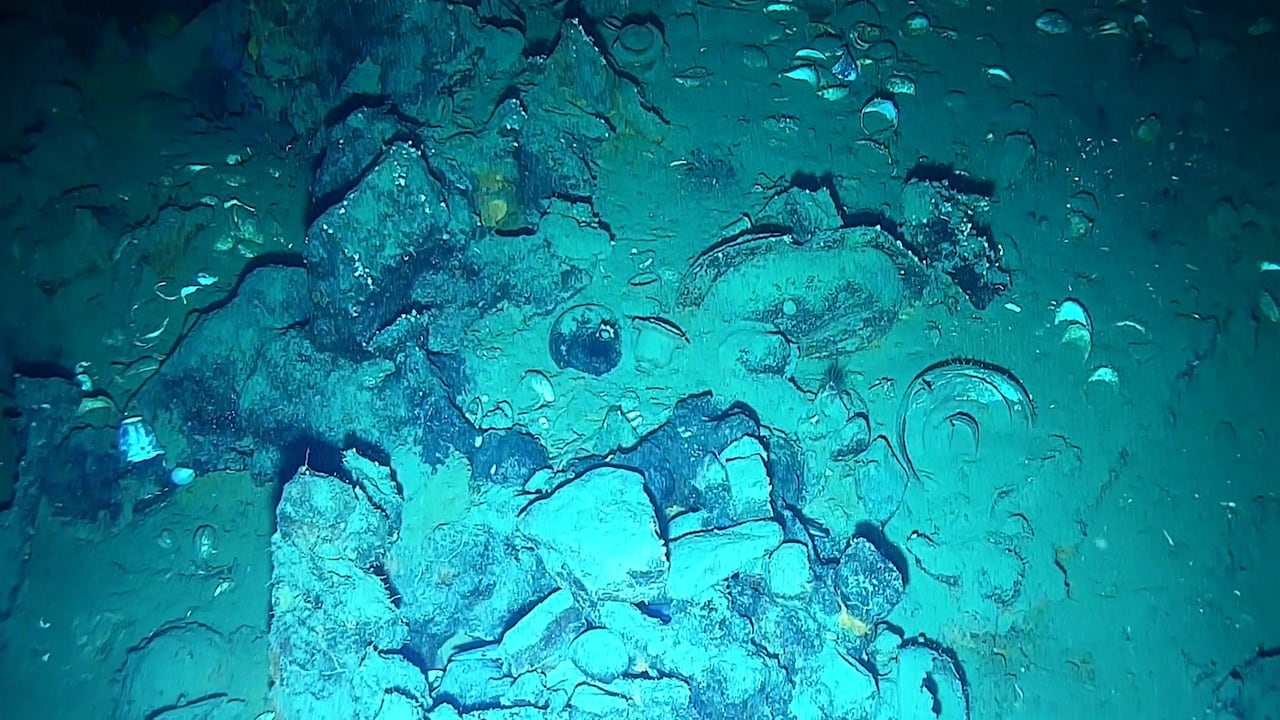 Objetos recuperados del galeón San José