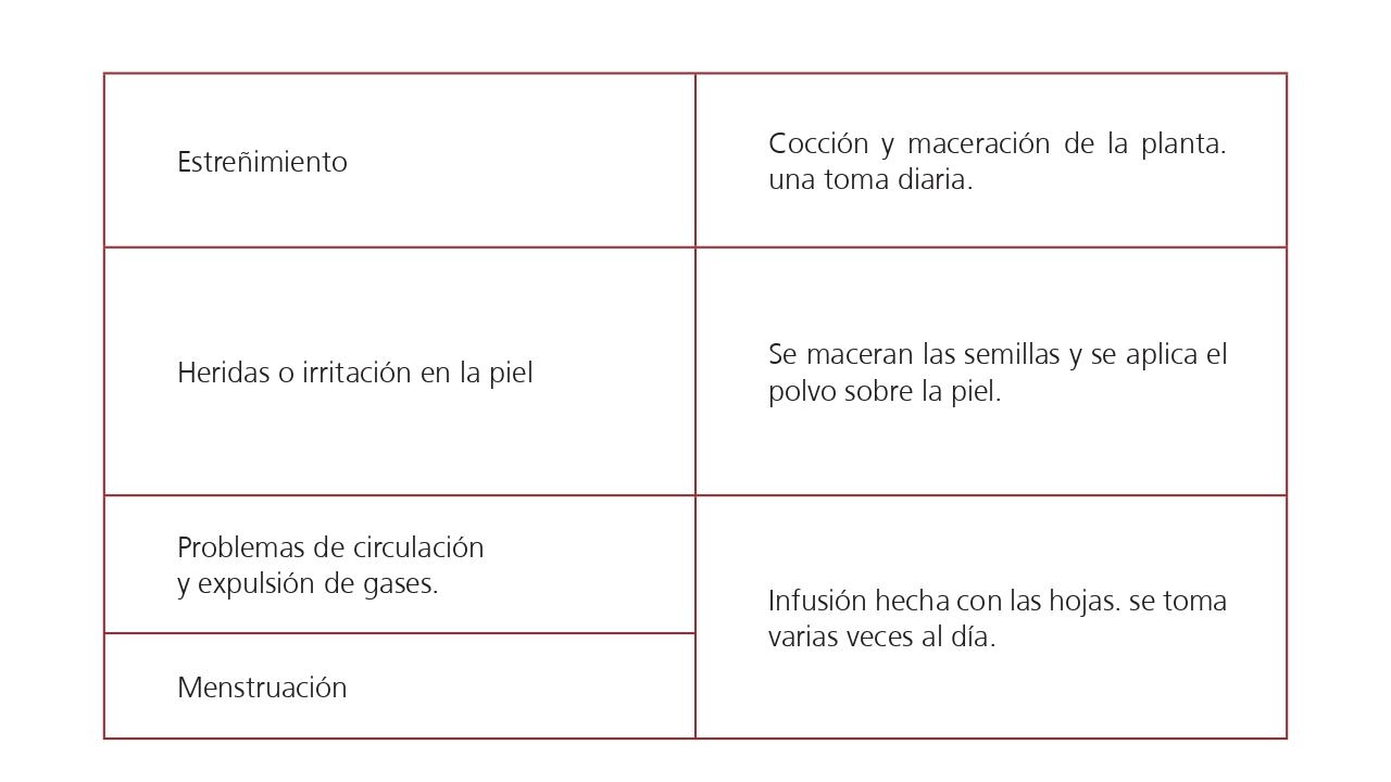 Vademécum de plantas medicinales Wayúu