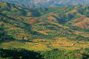 (Original Caption) Terraced rice fields, interspersed with small homes, on floor of green valley foothills of Himalayas