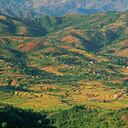 (Original Caption) Terraced rice fields, interspersed with small homes, on floor of green valley foothills of Himalayas