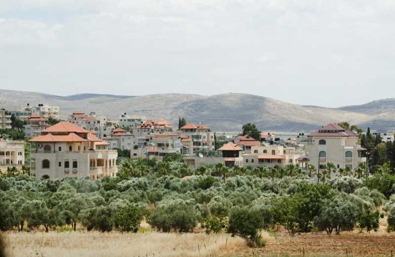 Dentro de Palestina actualmente hay 159 colonias israelíes, el 80% de los colonos están en Jerusalén.