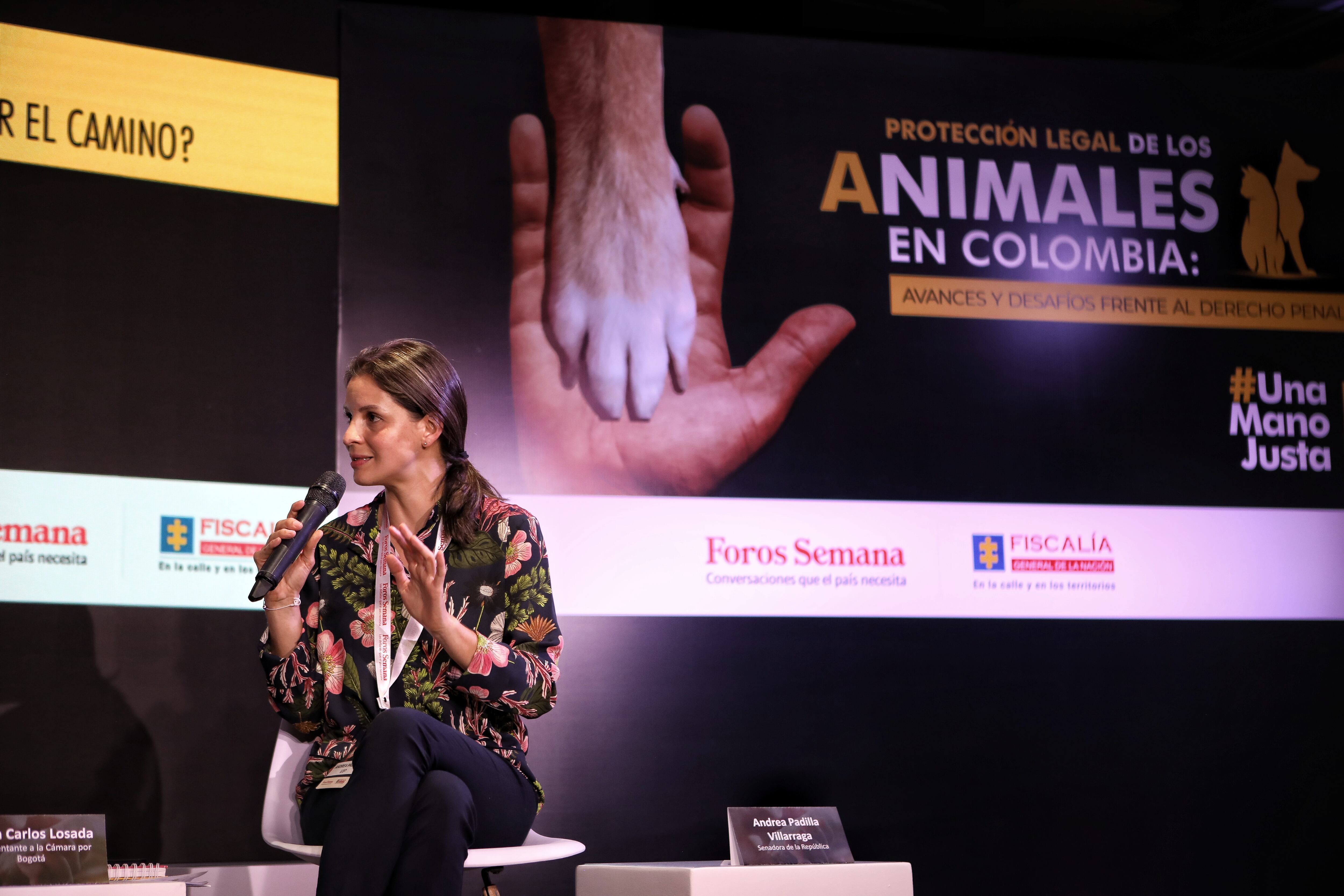 Andrea Padilla Villarraga, Senadora de la República