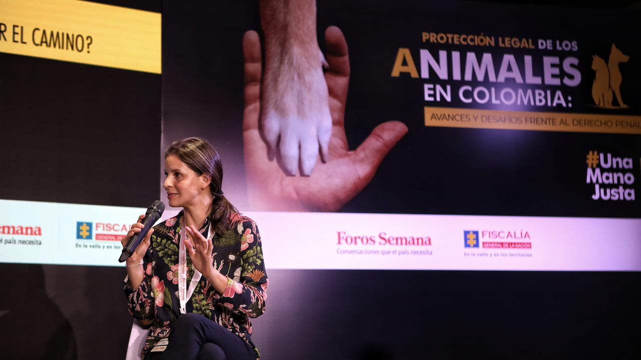Andrea Padilla Villarraga, Senadora de la República
