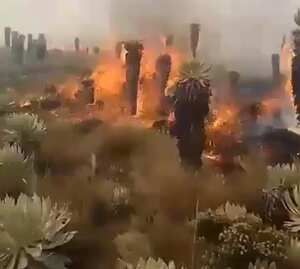 El gobernador de Boyacá, Carlos Amaya, ha pedido de manera urgente al Gobierno apoyo aéreo para atender la emergencia. Foto: @DoomoEditorial