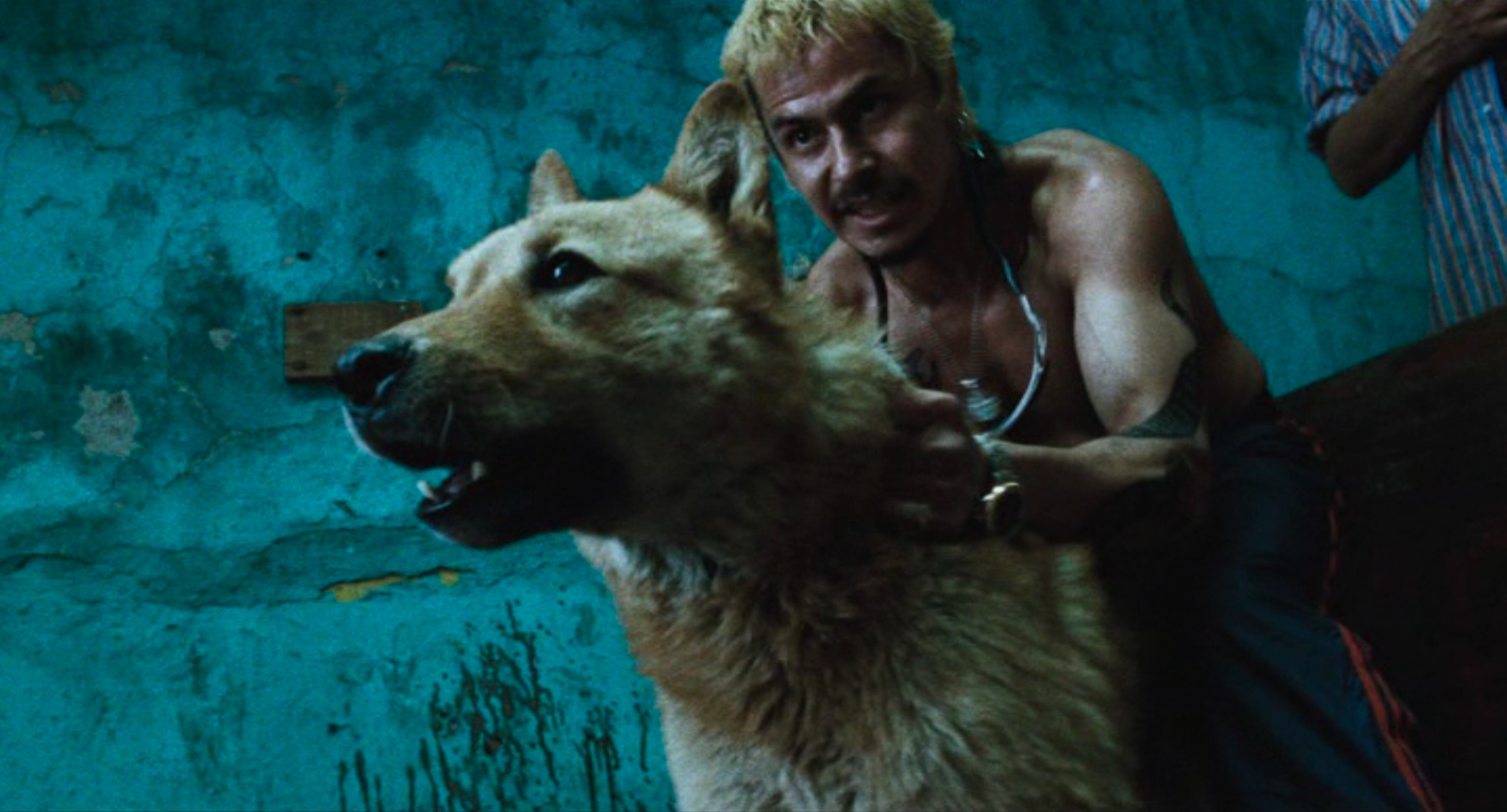 Amores Perros de Alejandro González Iñárritu cumple 25 años y regresa a las salas de cine, así podrá ver la película en Colombia