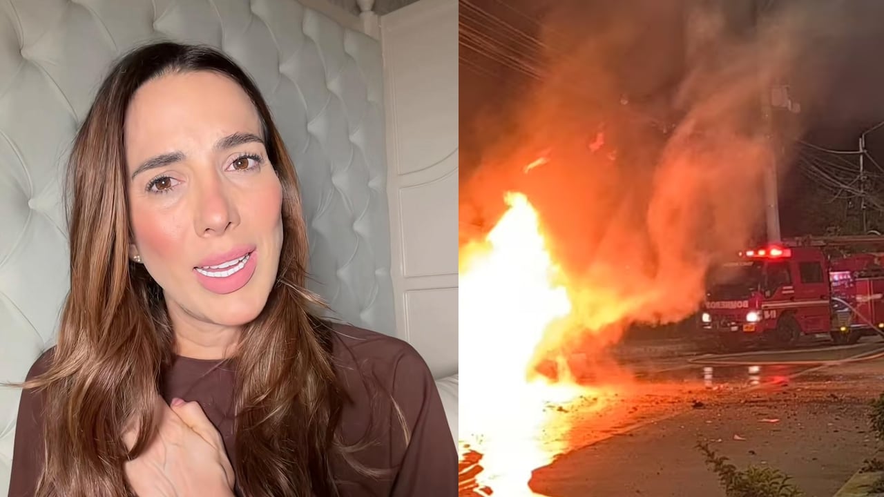 Violeta Bergonzi hace un llamado a la solidaridad tras atentado.