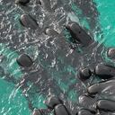 En esta fotografía proporcionada por el Departamento de Biodiversidad, Conservación y Atracciones de Australia, una manada de ballenas piloto se agrupa en la playa de Cheynes, Australia, el martes 25 de julio de 2023. (DBCA vía AP)
